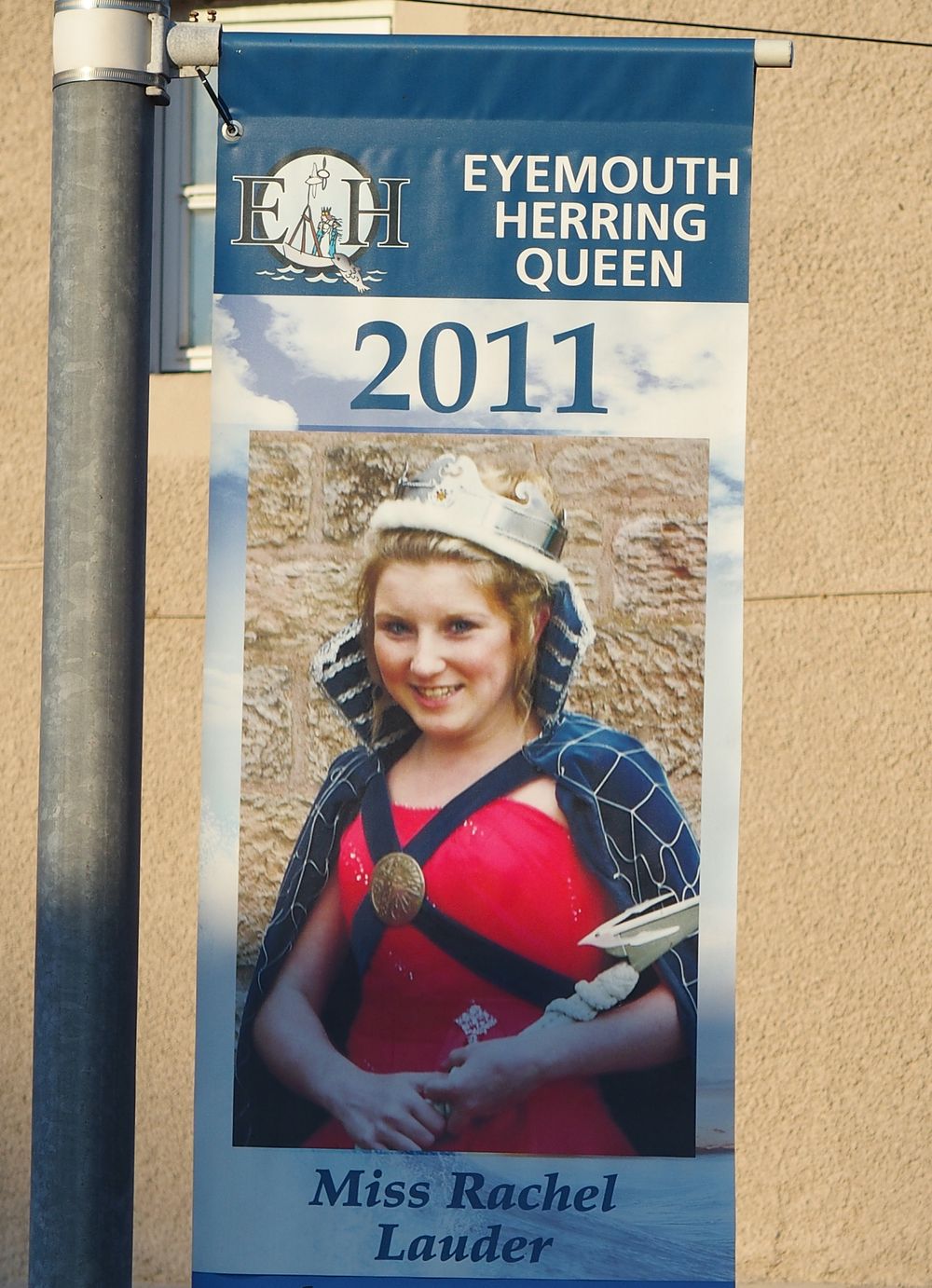hering kiralyno 2011